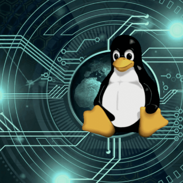 Безопасности дистрибутивов Linux угрожает опасная уязвимость, курс по кибербезопасности секреты хакеров Ростов-на-Дону