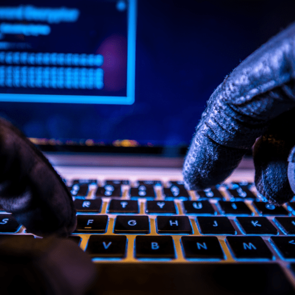 Компания Google предупреждает об атаках правительственных хакеров, информационная безопасность курсы онлайн Красноярск