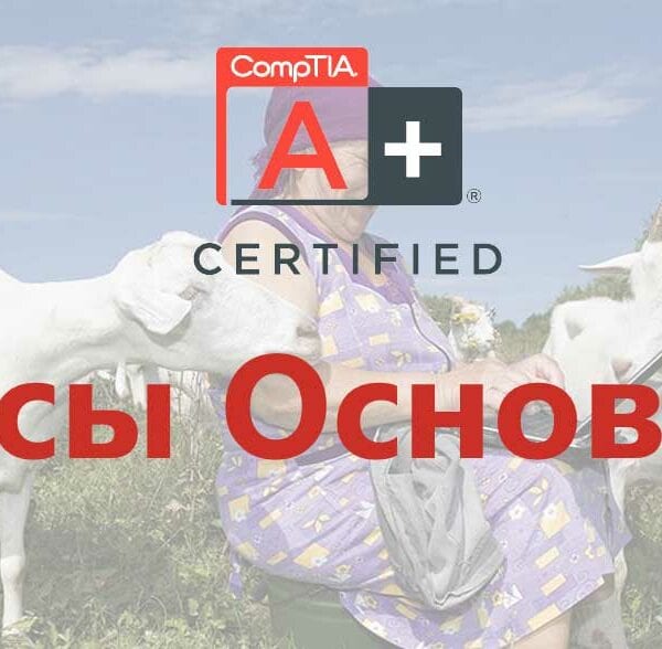 Курсы системного администратора: обучение с нуля до сисадмина. Основы IТ, курс IT Essentials