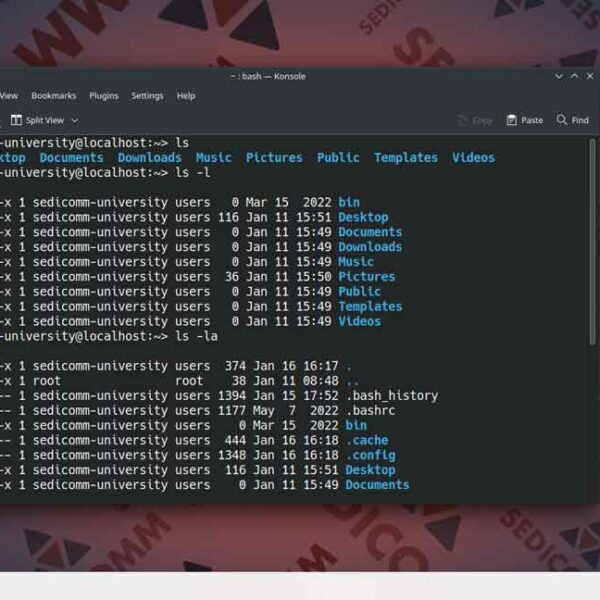 Примеры использования утилиты ls, специалист курс Linux Баку
