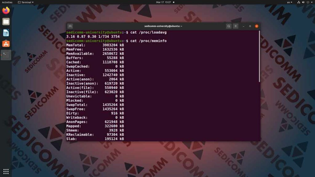 Как проверить нагрузку на процессор и ОЗУ через командную строку Линукс, лучшие курсы по Linux Рига