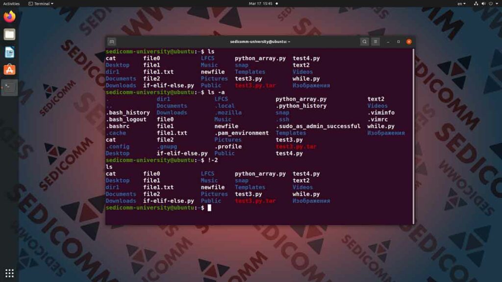 Как увидеть список всех введенных команд в Линукс, операционная система Linux курс лекций Клайпеда