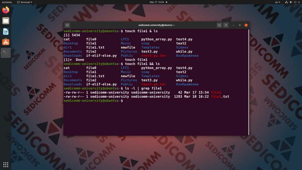 Как выполнить одновременно несколько команд в Линукс, операционная система Linux курс лекций Алматы