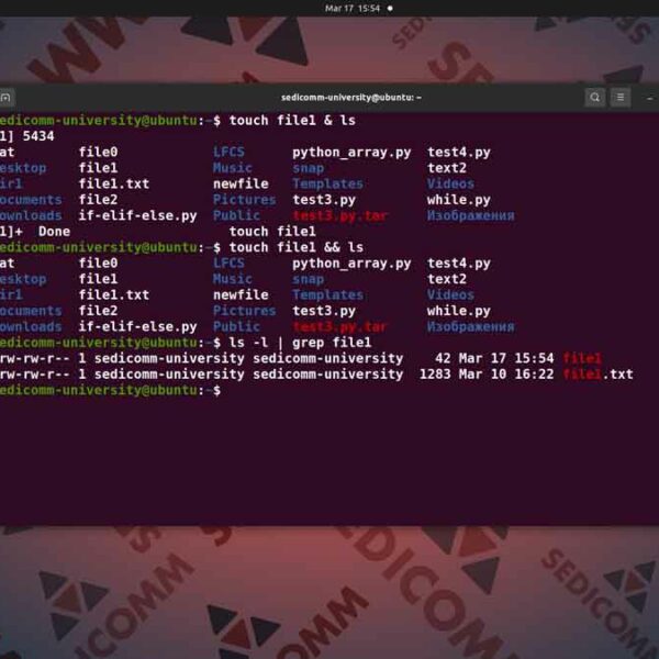 Как выполнить одновременно несколько команд в Линукс, операционная система Linux курс лекций Алматы