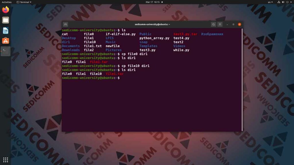 Основы Linux для программируемых сетей и систем — копирование и перемещение файлов, курсы DevOps / DevNet отзывы Баку