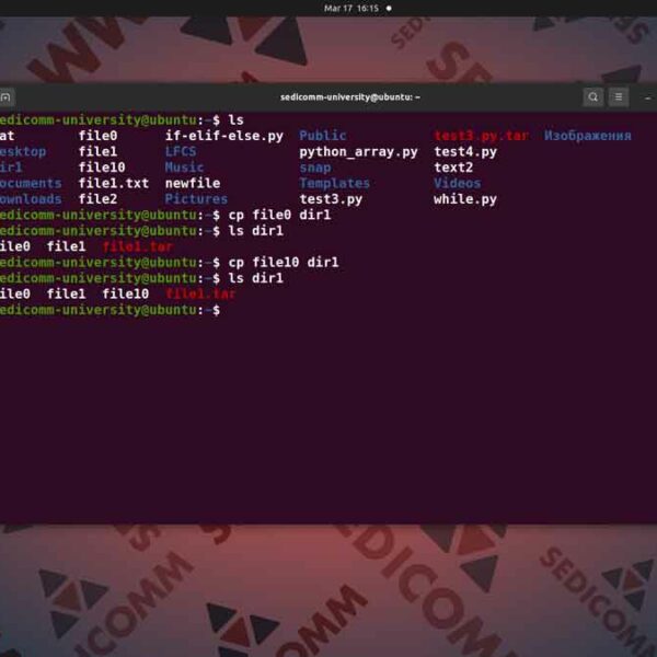 Основы Linux для программируемых сетей и систем — копирование и перемещение файлов, курсы DevOps / DevNet отзывы Баку