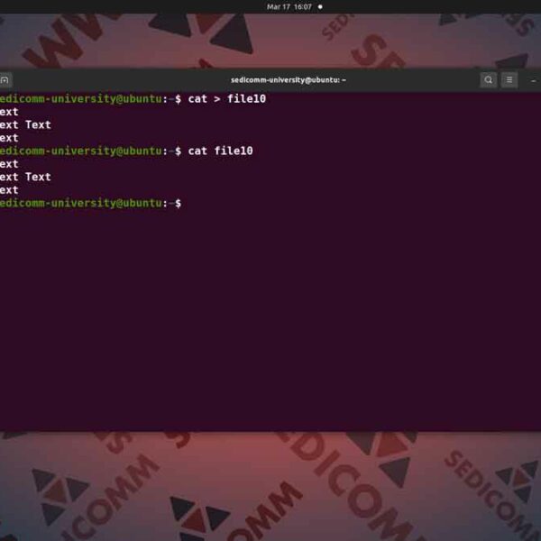 Основы Linux для программируемых сетей и систем — редактирование файлов, курсы DevOps / DevNet отзывы Ереван
