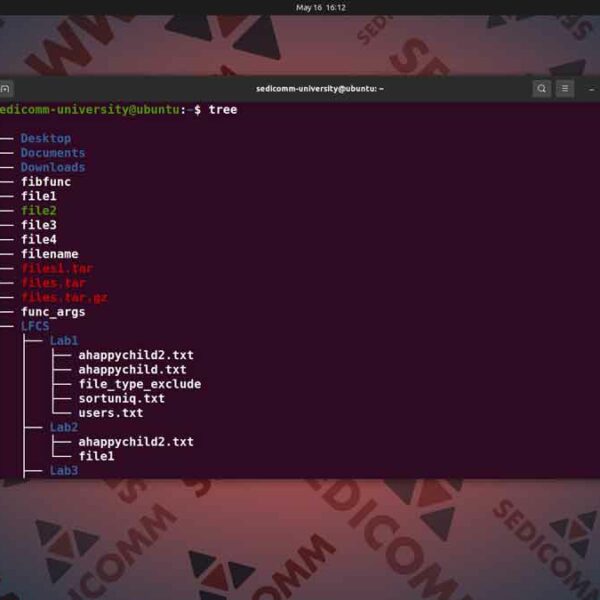 Как увидеть структуру файловой системы в Линукс, лучшие курсы по Linux Вильнюс