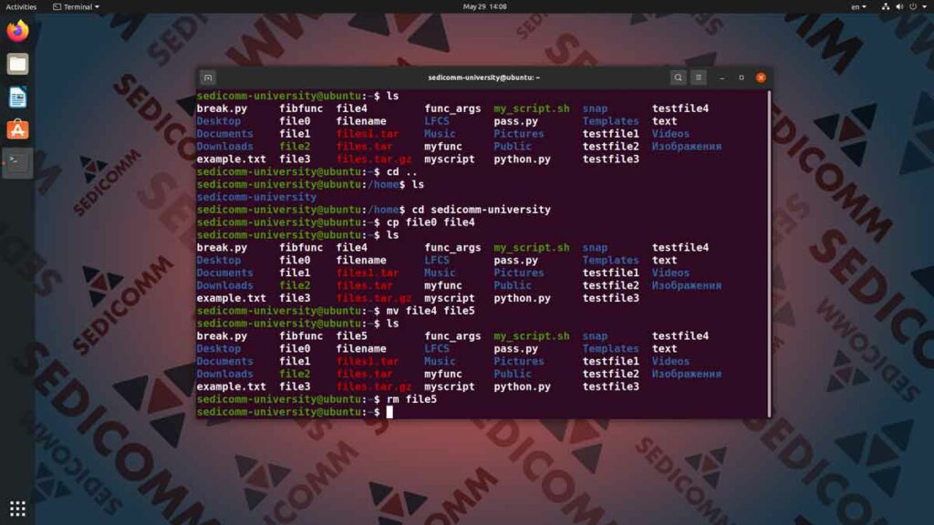 Основы Linux для программируемых сетей и систем — знакомство с командной строкой, DevOps / DevNet специалист курс Ташкент