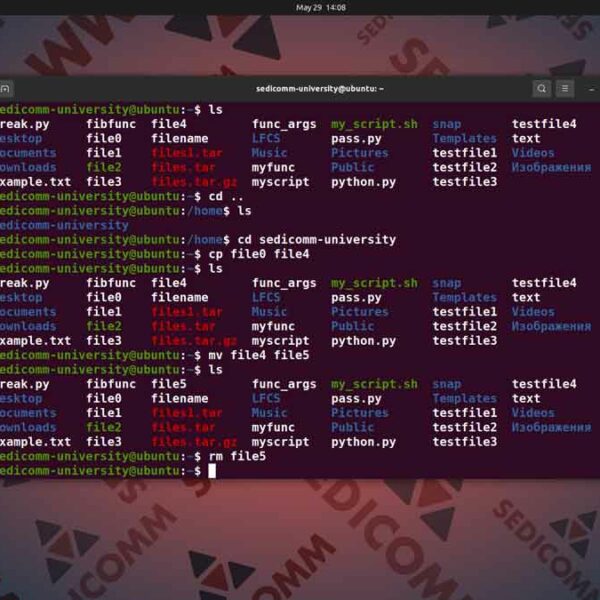 Основы Linux для программируемых сетей и систем — знакомство с командной строкой, DevOps / DevNet специалист курс Ташкент
