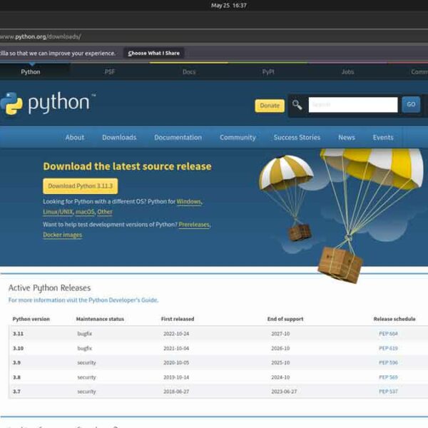 Основы Python для программируемых сетей и систем — какую версию выбрать, DevOps / DevNet скачать курс торрент Таллин