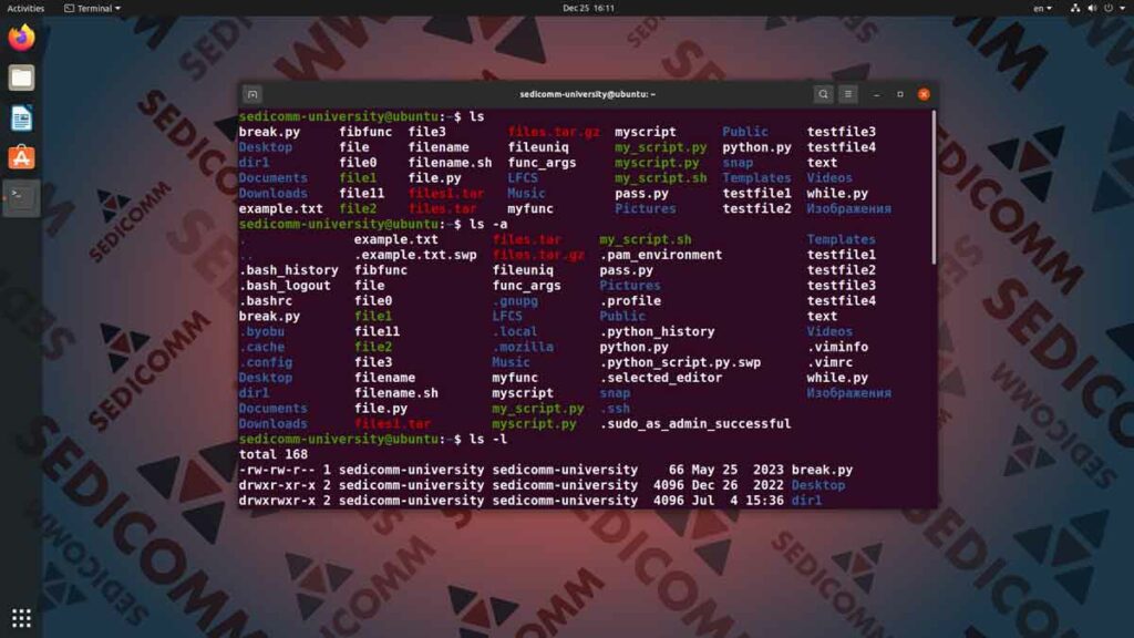 Основы Linux для программируемых сетей и систем — навигация по дереву каталогов, курсы DevOps / DevNet торрент Варшава